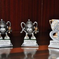 Dartverein Pfeil genau